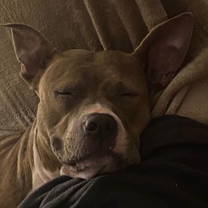 Meet your Posher, Kristin